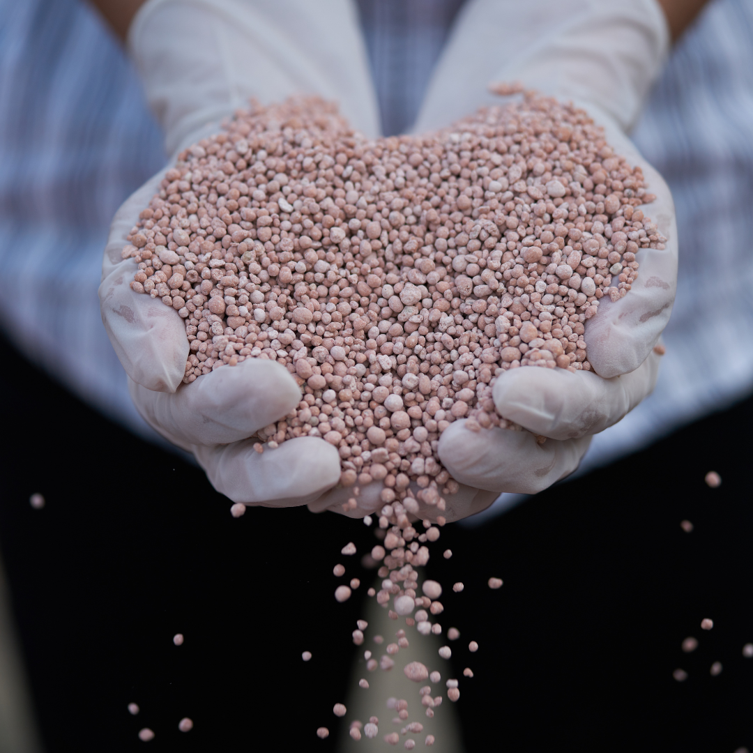 “El Oro Verde de Colombia”